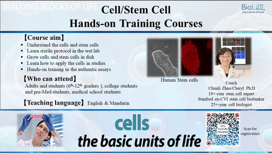 Cell/Stem Cell training course, hands-on training in wet lab ((1.5 hours /Class, 10 classes,  or one week daily 5 days from 1-5pm))